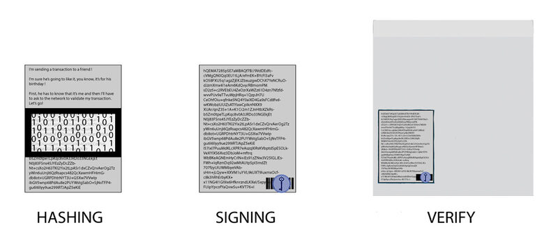 The Birth of A Blockchain Transaction