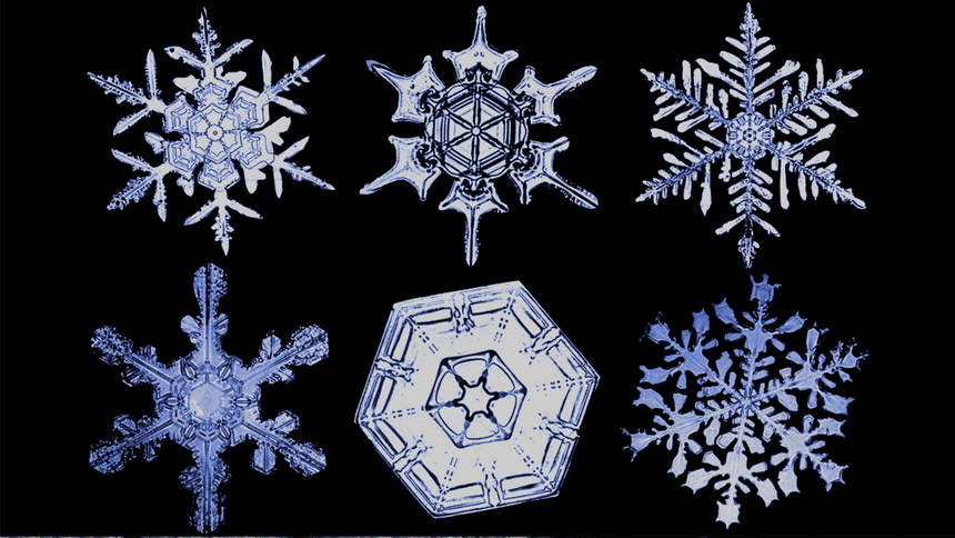 Why most definitions of “non-fungible” are incorrect.