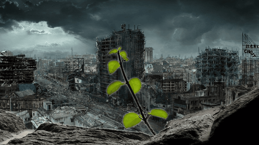 The good and the bad about blockchain business pitches: where are we going?