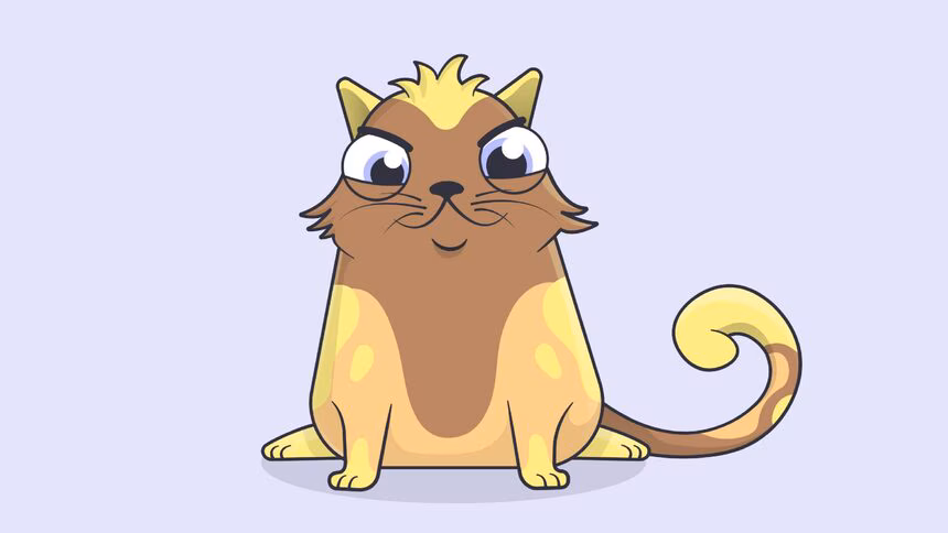 What is the future of CryptoKitties?