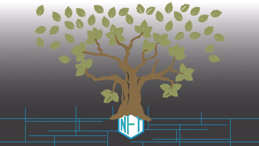 The ecological impact of NFTs