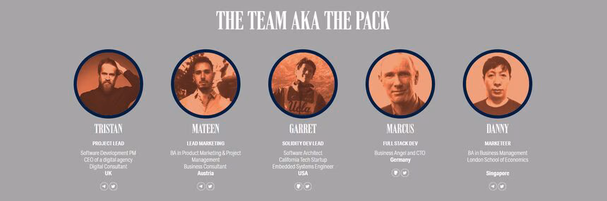 wolves of wall street team