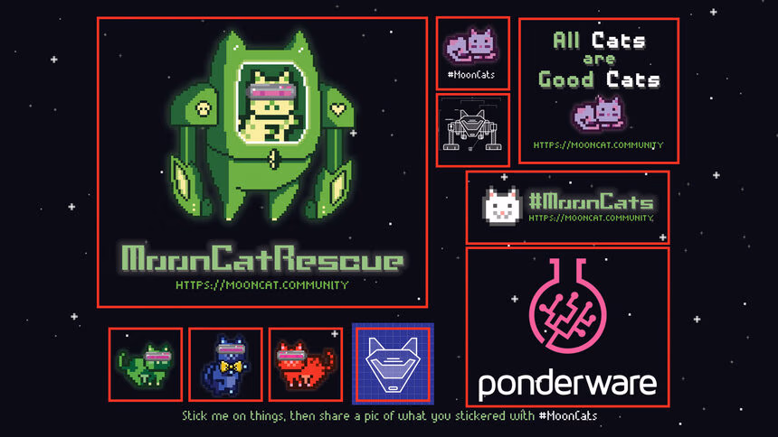 What’s coming next after the rescue of the MoonCats?