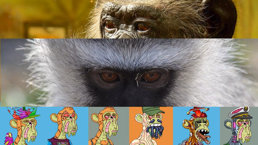 The good, the bad and the ugly faces of NFTs