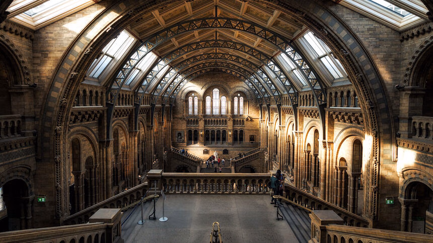 The Acceptance of NFT in The Museum World