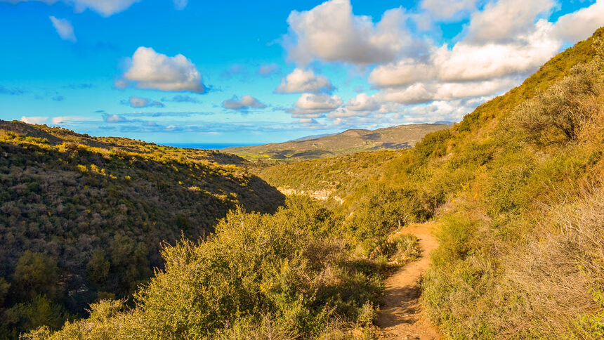 NFT history ETH terra nullius